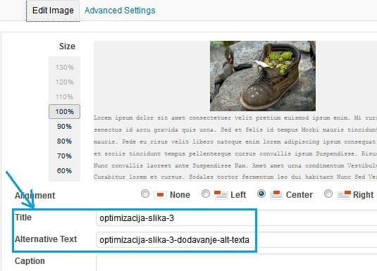 optimizacija-slika optimizacija-slika-alt-text-title