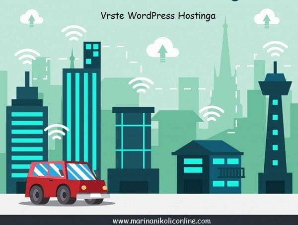 Vrste-wordpress-hostinga-marinanikoliconline