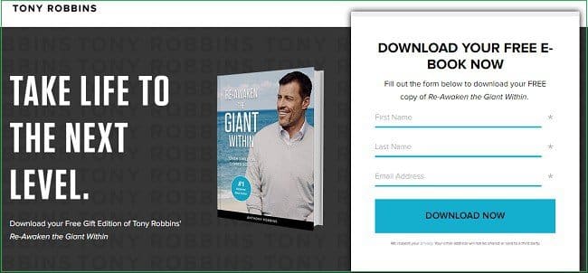 ebook-lead-magnet-primer