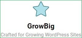 siteground-growbig-plan