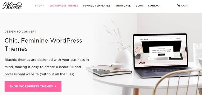 bluchick-wordpress-teme-početna-stranica